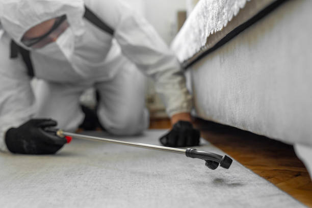 Professional Cockroach Control technician working in Cayucos, CA